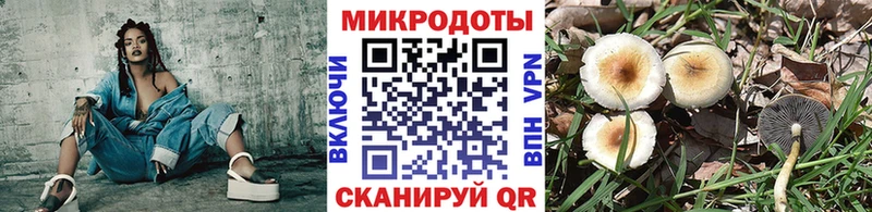 KRAKEN рабочий сайт  купить наркотики цена  Петровск  Галлюциногенные грибы Magic Shrooms 
